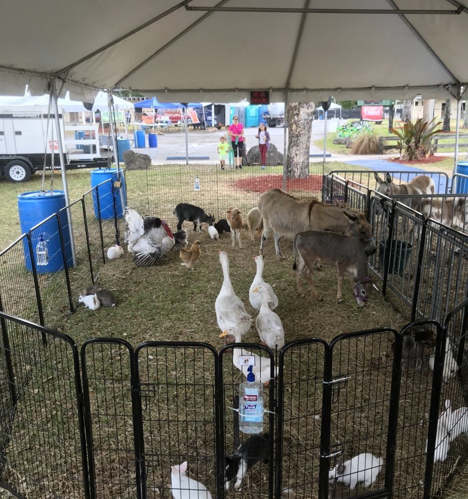 Ponies and Petting Zoo Miami Party Entertainment