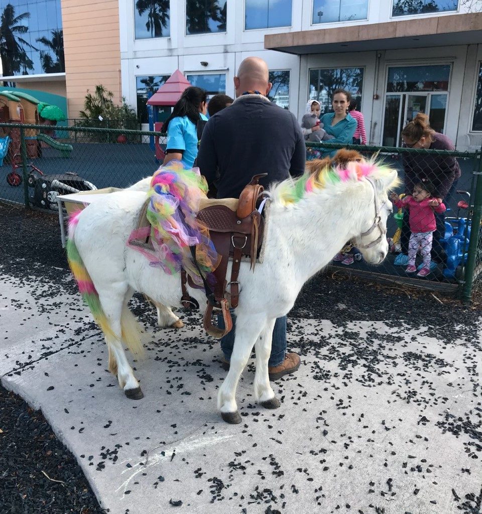 Ponies / Petting Zoo Miami Party Entertainment