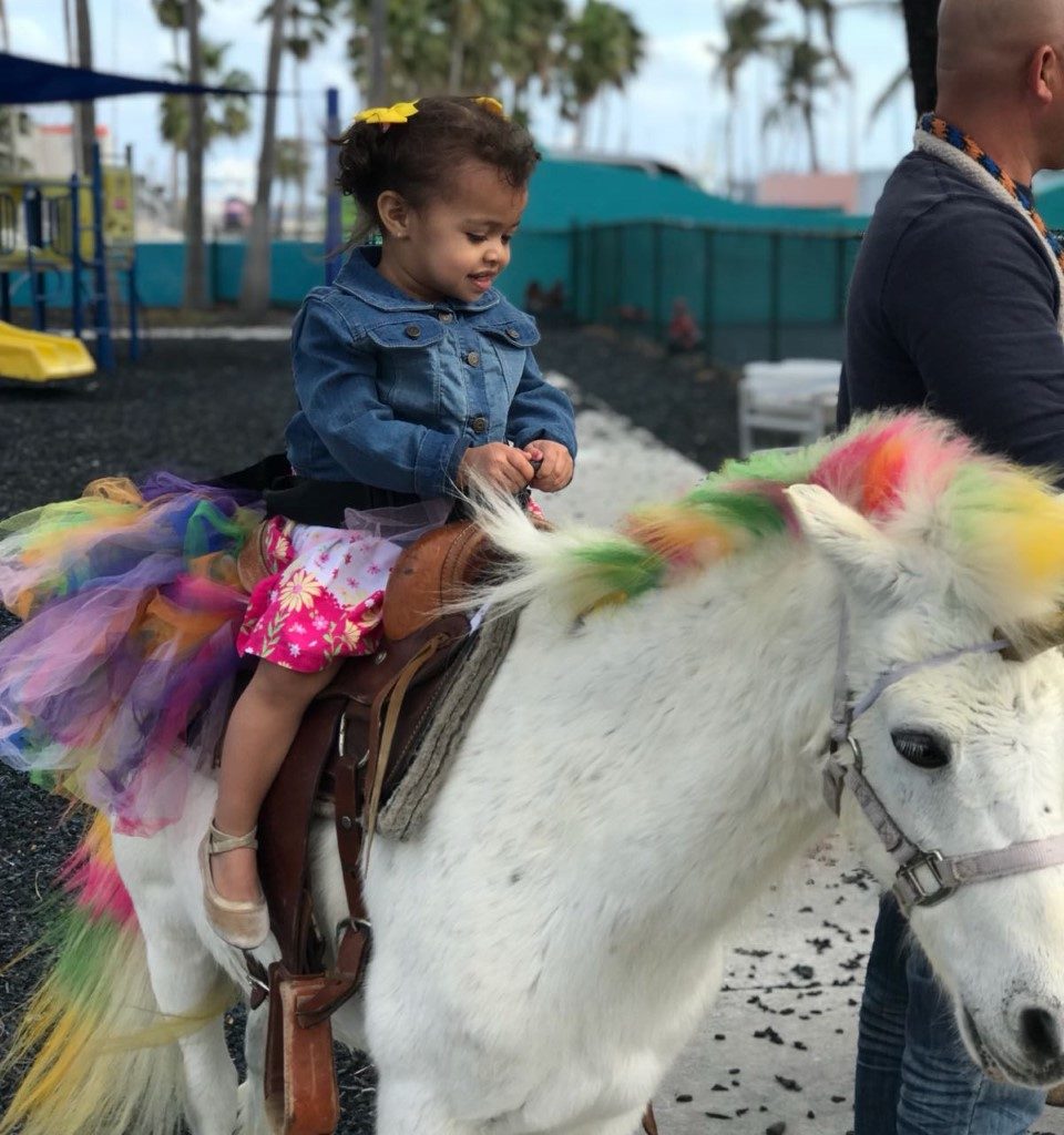 Ponies / Petting Zoo Miami Party Entertainment