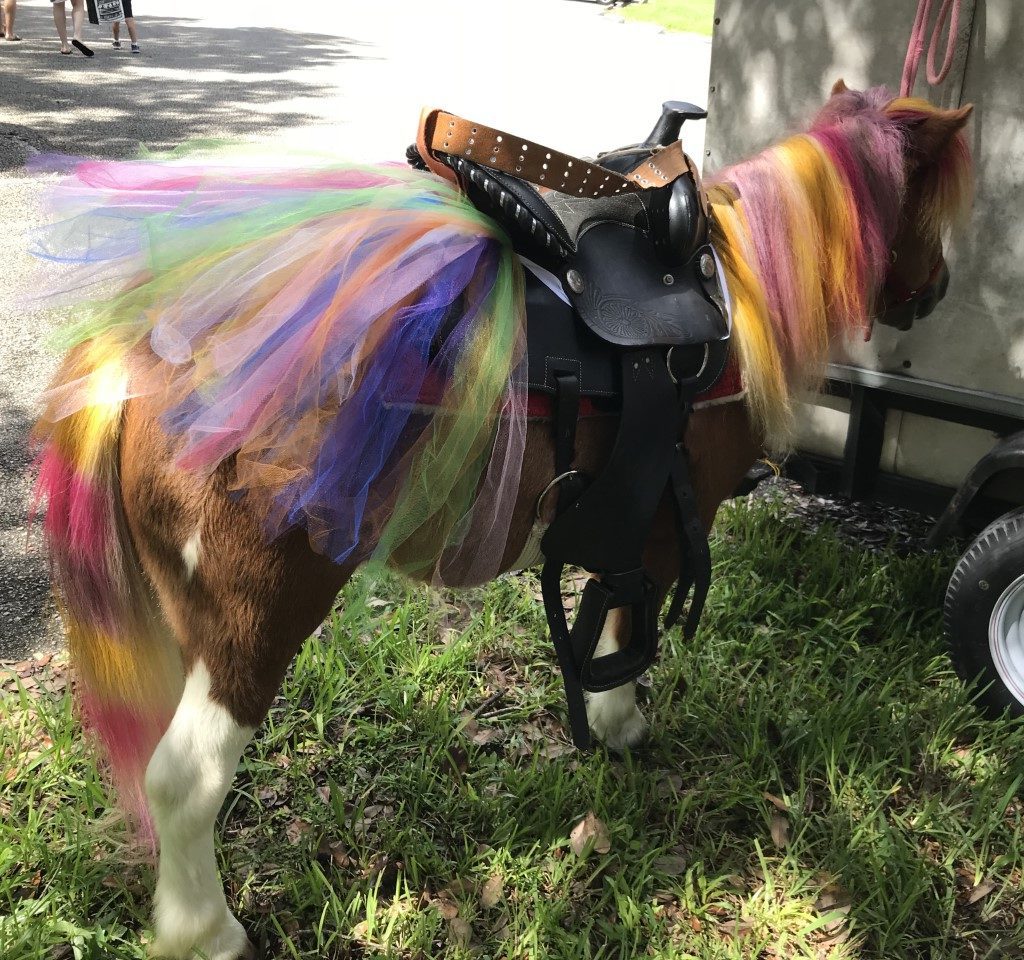 hialeah miami petting zoo park